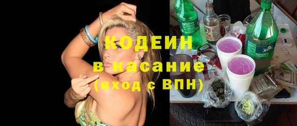 гашик Ветлуга