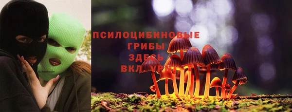 сатива Видное
