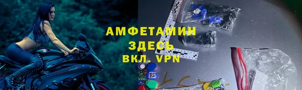 гашик Ветлуга