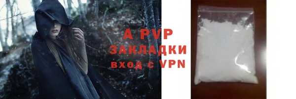 индика Лабытнанги