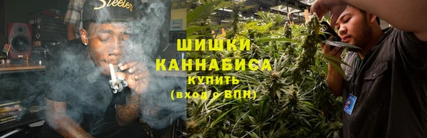 прущие грибы Горняк