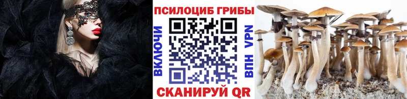 наркотики Мелеуз Галлюциногенные грибы мицелий