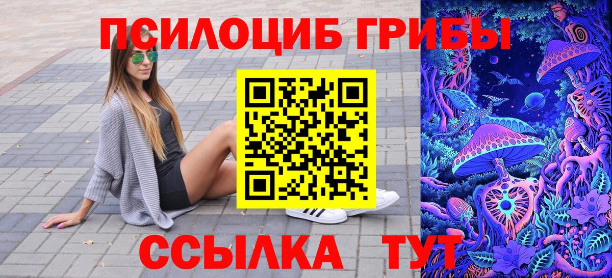 Псилоцибиновые грибы прущие грибы  Мелеуз 